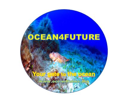 logo ocean4future