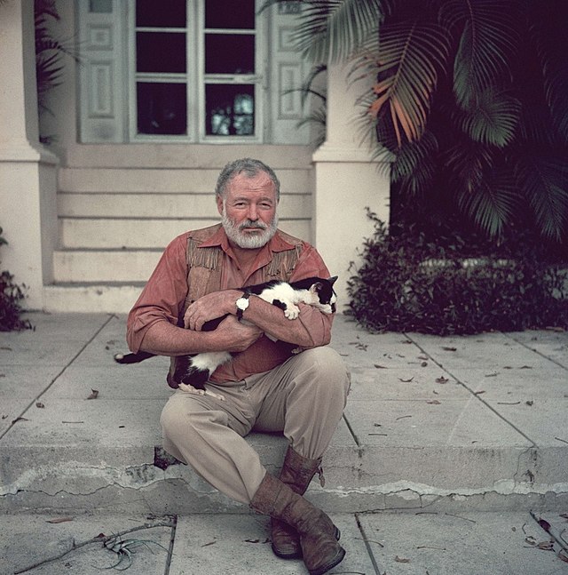 PERSONAGGI HEMINGWAY 640px Ernest Hemingway with cat 1954