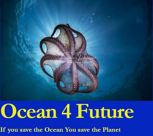 Logo Ocean4future