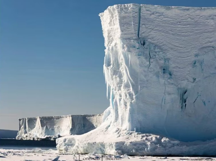 Iceberg bassi