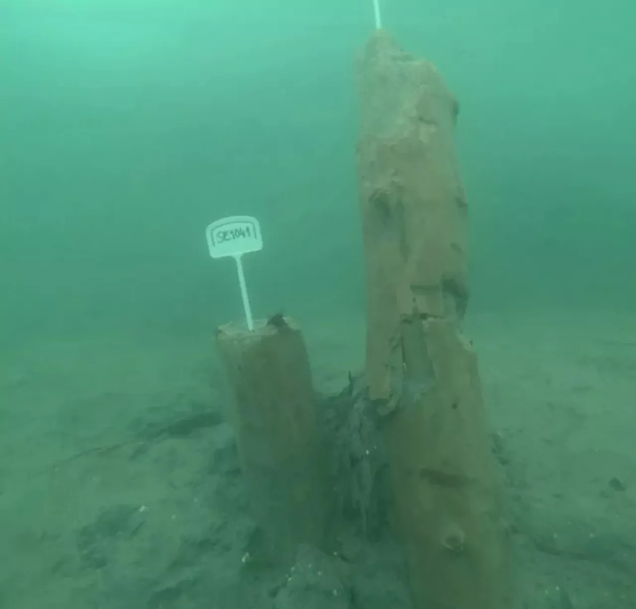 adriatico sommerso i sub archeologi individuano delle insolite strutture a diversi metri di profondita di cosa si tratta 3