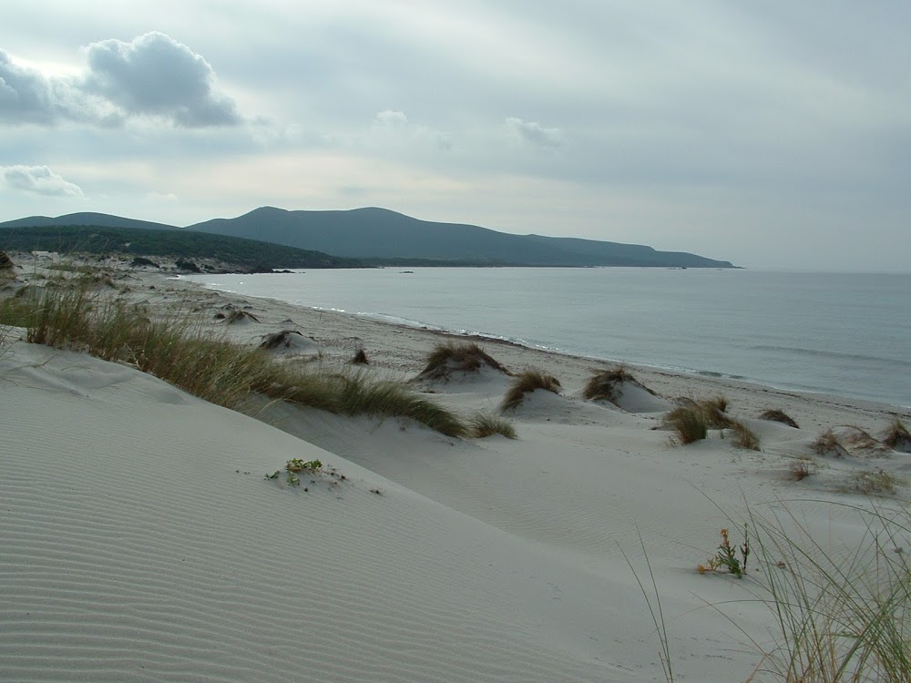 Spiaggia delle dune Teulada