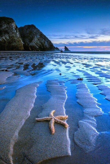 Spiaggia stellaalpina
